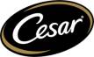 CESAR logo