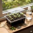 Esikasvatustuotteet Siirry ryhmään Esikasvatustuotteet