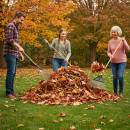 Siirry ryhmään Haravat