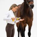 Siirry ryhmään Hevosten terveys ja hoito