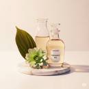 Hierontaöljyt Siirry ryhmään Hierontaöljyt