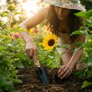 Siirry ryhmään Istutustyökalut