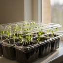 Siirry ryhmään Kasvihuoneet ja kasvialustat