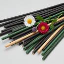 Siirry ryhmään Kasvituet 