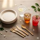 Siirry ryhmään Kertakäyttöastiat ja -välineet