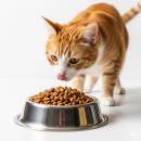 Kissan kuivaruoka Siirry ryhmään Kissan kuivaruoka