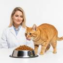 Kissan terveys ja erikoisravinnot Siirry ryhmään Kissan terveys ja erikoisravinnot