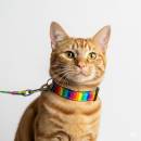 Kissan ulkoilu Siirry ryhmään Kissan ulkoilu