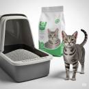 Kissanhiekat Siirry ryhmään Kissanhiekat