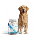 Siirry ryhmään Koiran ravintolisät