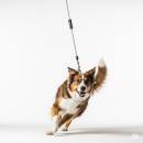 Siirry ryhmään Koiran ulkoilutarvikkeet