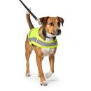 Siirry ryhmään Koiran vaatteet