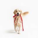 Siirry ryhmään Koulutus ja ulkoilu