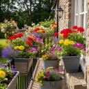 Kukkalaatikot Siirry ryhmään Kukkalaatikot