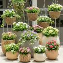 Kukkaruukut ja -amppelit Siirry ryhmään Kukkaruukut ja -amppelit