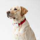 Siirry ryhmään Lemmikinpaikannustuotteet