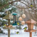 Linnunruuat Siirry ryhmään Linnunruuat