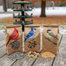 Siirry ryhmään Linnunsiemenet