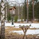 Siirry ryhmään Luonnonlinnut