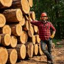 Siirry ryhmään Metsurin työkalut