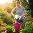 Siirry ryhmään Puutarhan hoito