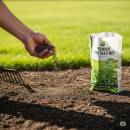 Nurmikkosiemenet Siirry ryhmään Nurmikkosiemenet