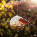 Siirry ryhmään Pähkinät