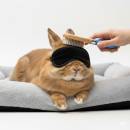 Siirry ryhmään Pieneläinten hoitotarvikkeet