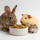 Siirry ryhmään Pieneläinten ruoat