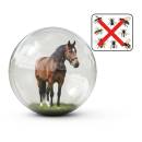 Siirry ryhmään Punkkien ja ulkoloisten torjunta