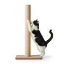 Raapimispuut Siirry ryhmään Raapimispuut