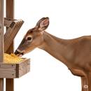 Riistan ruokinta Siirry ryhmään Riistan ruokinta