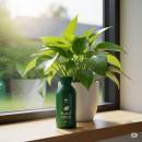 Siirry ryhmään Sisäkasvien lannoitteet ja ravinteet