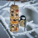 Siirry ryhmään Tangot