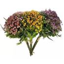 Siirry ryhmään Tekokukat ja -kasvit