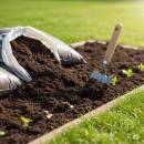 Siirry ryhmään Ulkokasvimullat