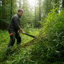 Siirry ryhmään Vesurit