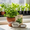 Yrttien siemenet Siirry ryhmään Yrttien siemenet