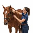 Siirry ryhmään Hevoset