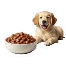 Siirry ryhmään Koiran märkäruoat