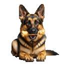 Siirry ryhmään Koiran puruherkut