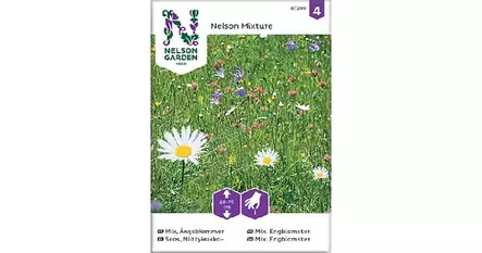 Seos, Niittykukka- - Kukkien siemenet - 7312600872400 - 1