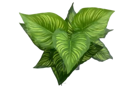 TEKOKUKKA VIHERKASVI SEMENTTIRUUKUSSA - Tekokukat ja -kasvit - 6438159393430 - 1