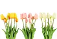 4Living Tulppaani kimppu 46 cm pinkki - Tekokukat ja -kasvit - 6410413281820 - 1
