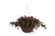4Living Verenpisara amppeli 30 cm - Kukkamaljakot - 6410416030920 - 1