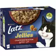 LATZ SENSATION JELLIES HERKKULAJITEMA - Kissan märkäruoka - 7613039847060 - 1