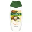PALMOLIVE SUIHKUSAIPPUA 250ML - Naisten saippuat ja suihkugeelit - 8714789939780 - 1