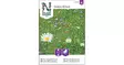 Seos, Niittykukka- - Kukkien siemenet - 7312600872400 - 1