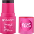 Essence WHAT A TINT! staining lip & cheek tint 10 - Meikit - 4059729542540 - 2