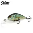 SALMO HORNET H4F REAL DACE - Vaaput - 5901812050410 - 1